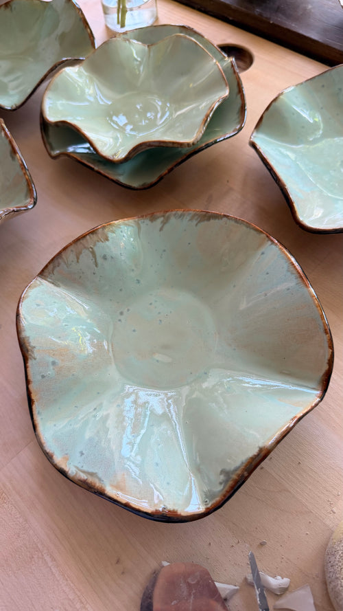 A little duo from the Mushroom Collection 🌿