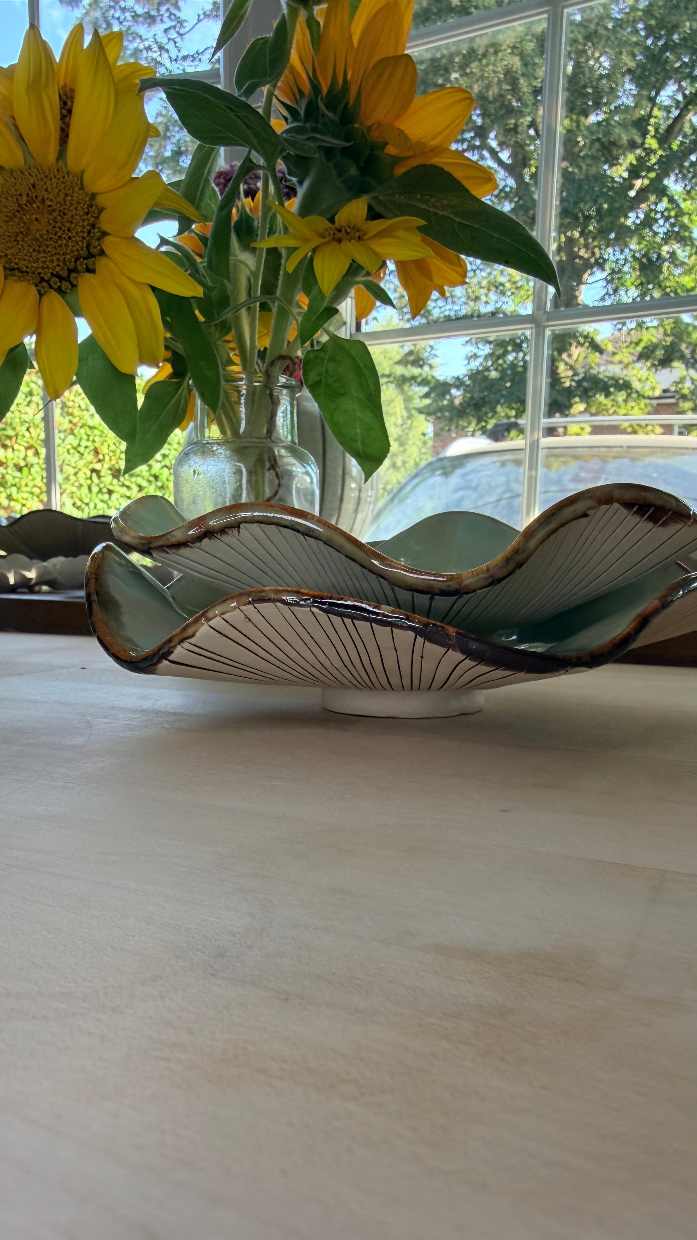 A little duo from the Mushroom Collection 🌿
