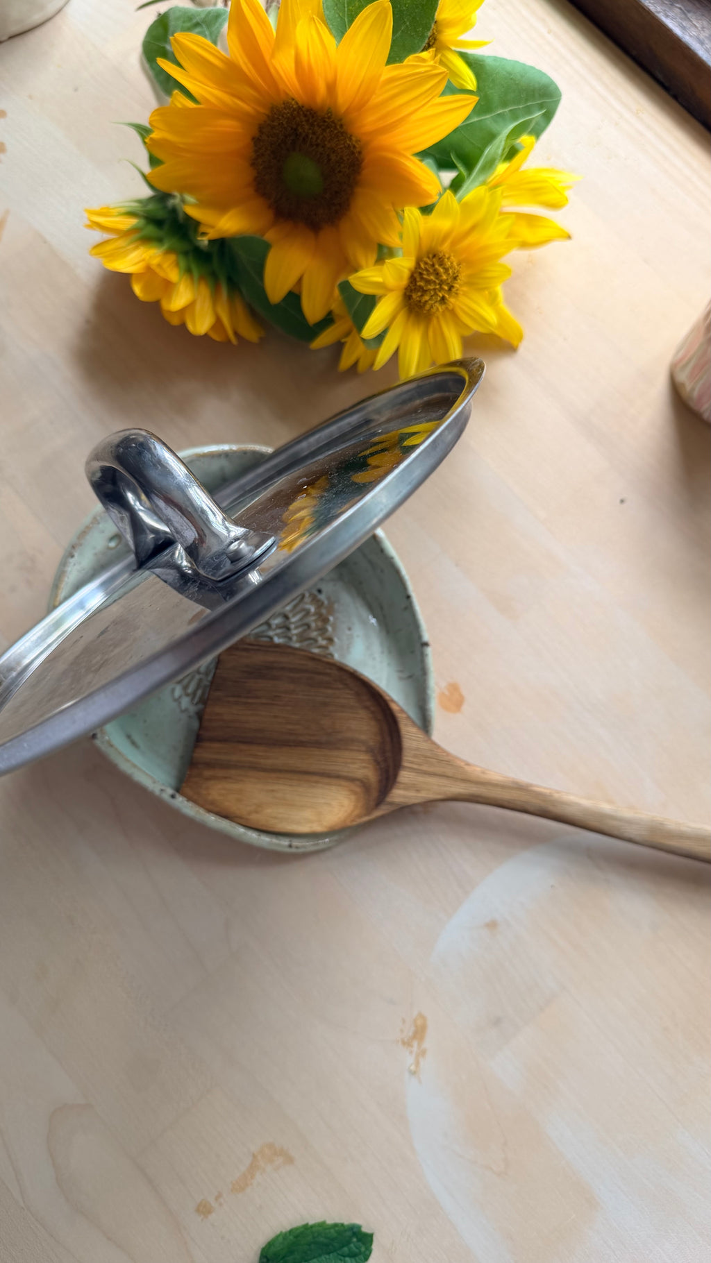 Spoon Rest 4in1 🌱🫧