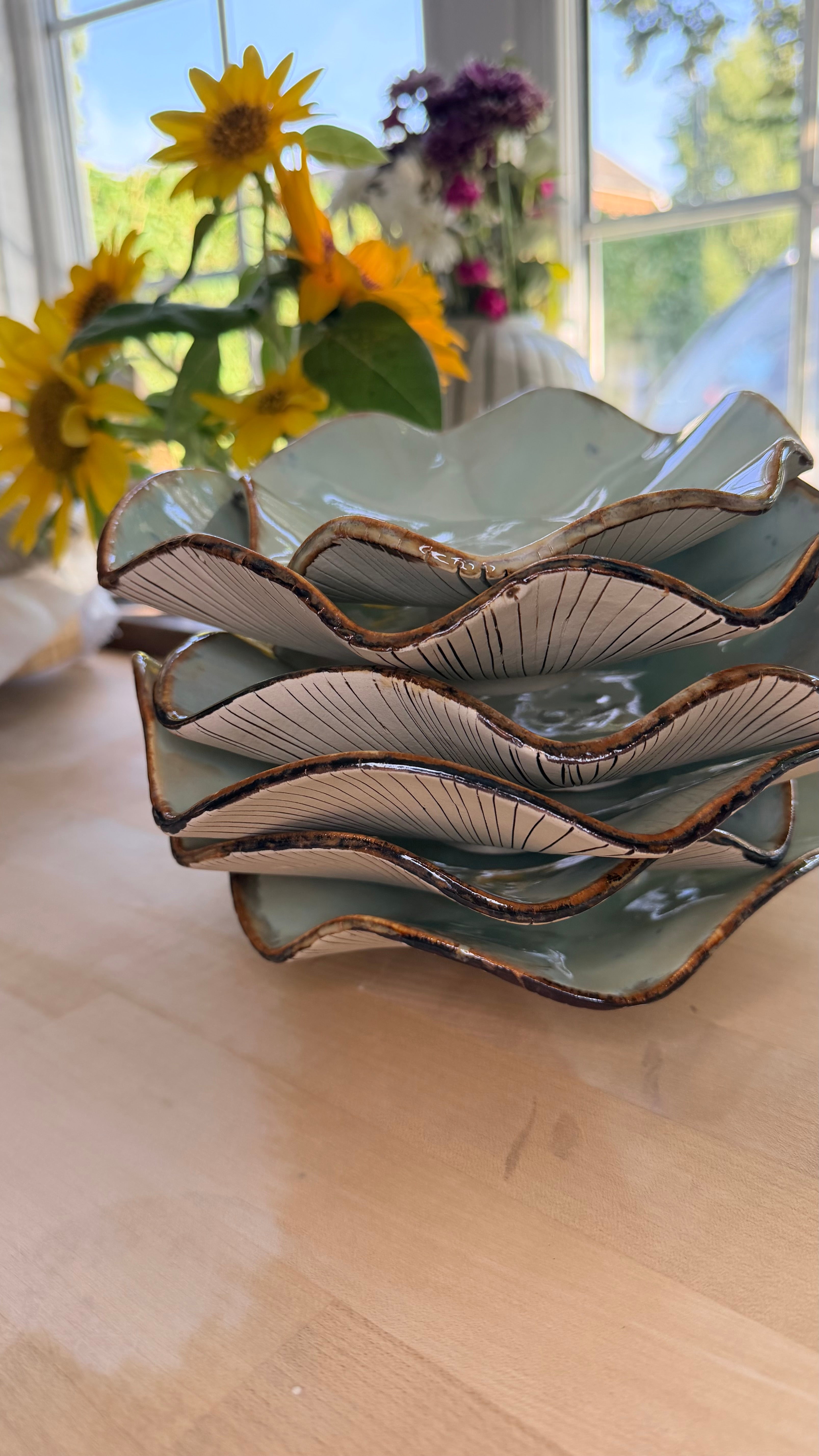 A little duo from the Mushroom Collection 🌿