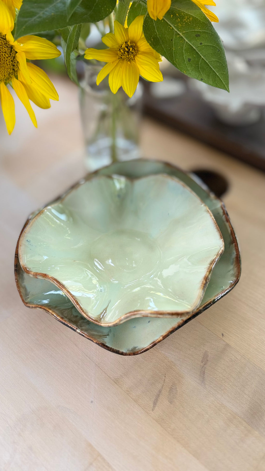 A little duo from the Mushroom Collection 🌿